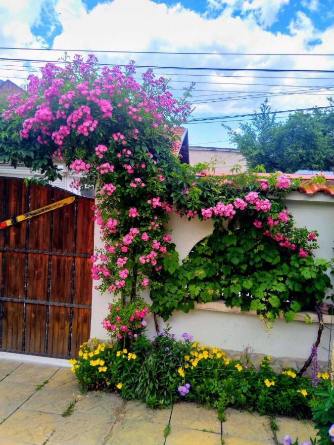 Guesthouse Elizabeth Samokow Exterior foto