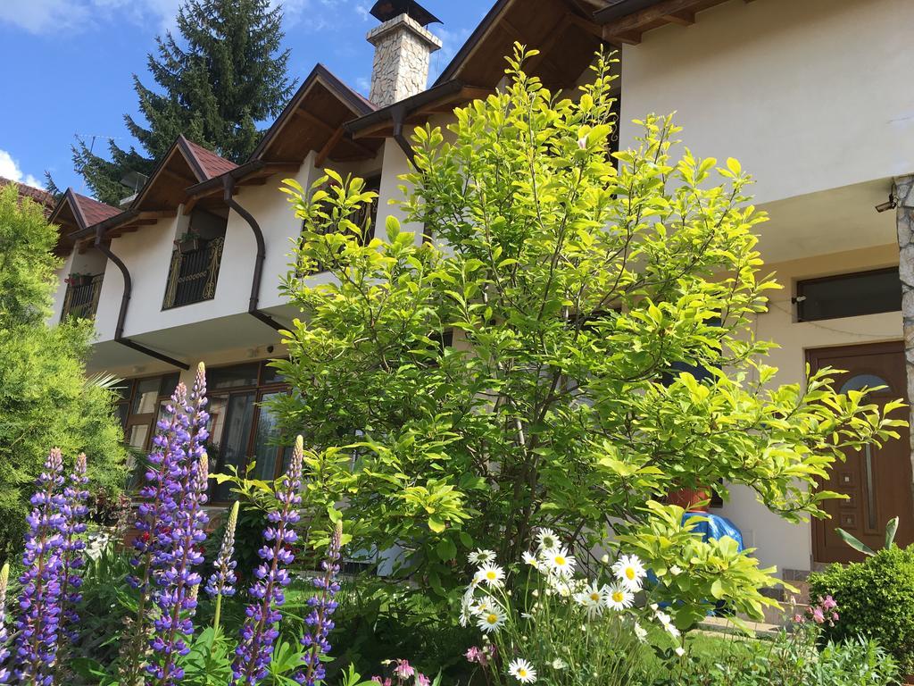 Guesthouse Elizabeth Samokow Exterior foto