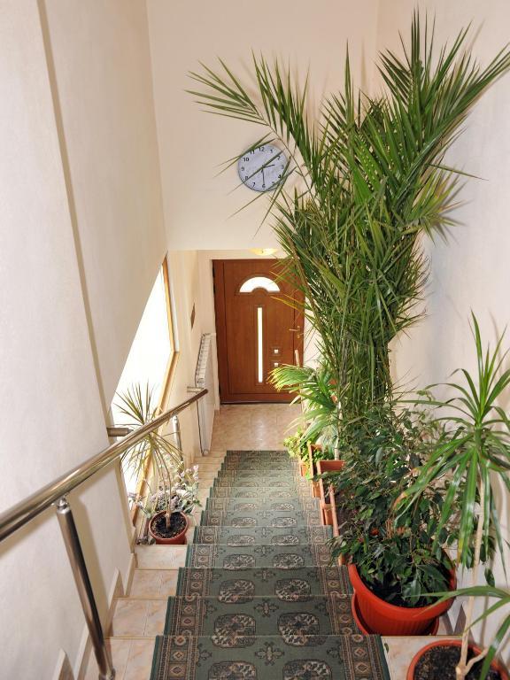 Guesthouse Elizabeth Samokow Zimmer foto